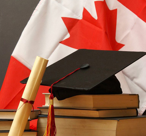 Eğitim Avantajları