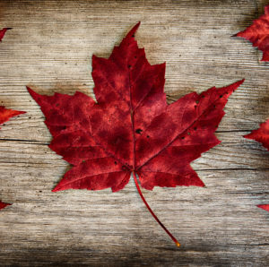 Kanada'da Doğum Fiyatları